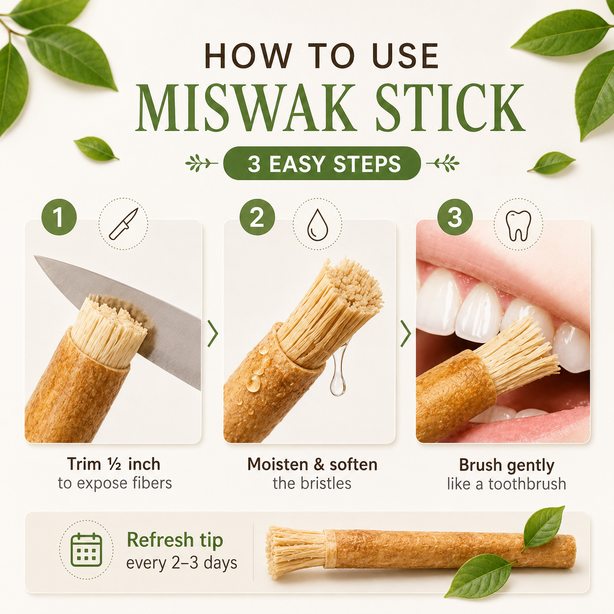 Root Bright - Miswak Natural Toothbrush
